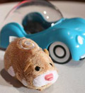 Zhu Zhu Hamster © Mark Lennihan / AP