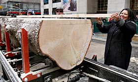 Iveth Bowie carries a piece of lumber cut from the trunk of the annual Rockefeller Center Christmas tree that will be used in her own home. (© Richard Drew/AP)