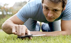 You don't have to torture yourself to have a perfect lawn. (© Alistair Berg/Getty Images)