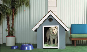 Amenities such as a plush doghouse can help improve your home's value. (©Philippe Mcclelland/Getty Images)