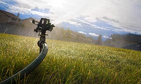 A hot, dry summer has left few lawns looking this lush on the East Coast and some central states. (© SuperStock)